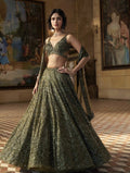 Olive Tinted Dreamy Lehenga