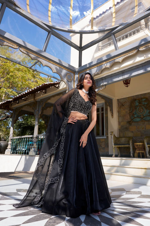 Ashnoor Party Wear Embroidery Lehenga Choli