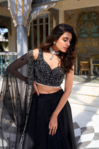 Ashnoor Party Wear Embroidery Lehenga Choli
