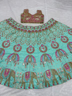 Mint Green Elephant Motif Designer Lehenga Choli