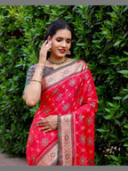 Patola Saree - drape and pallu detail