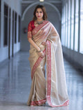 Net Saree for women - full front view | Snyvia