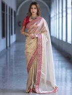 Net Saree - drape and pallu detail