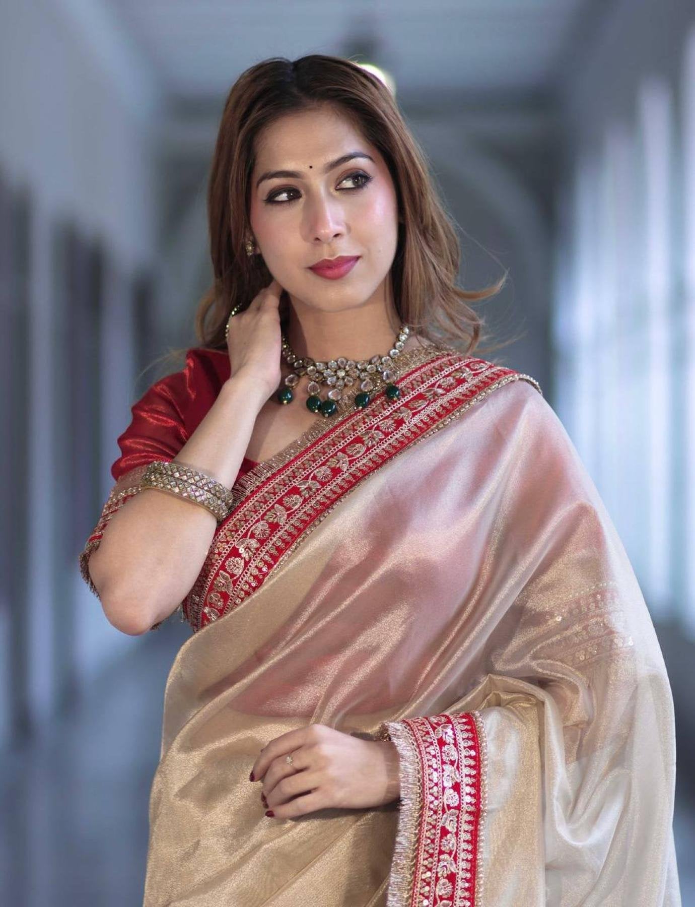 Net Saree - side drape view