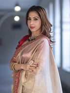 Net Saree - blouse and border close-up