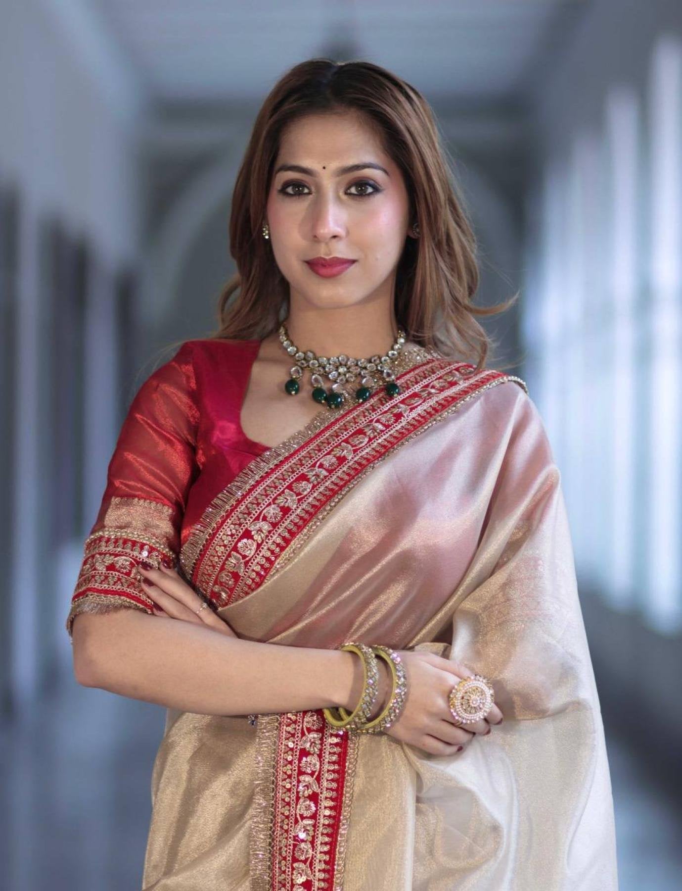 Net Saree - Sequins pallu design detail