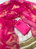 Pink Organza Saree - Handwork back view