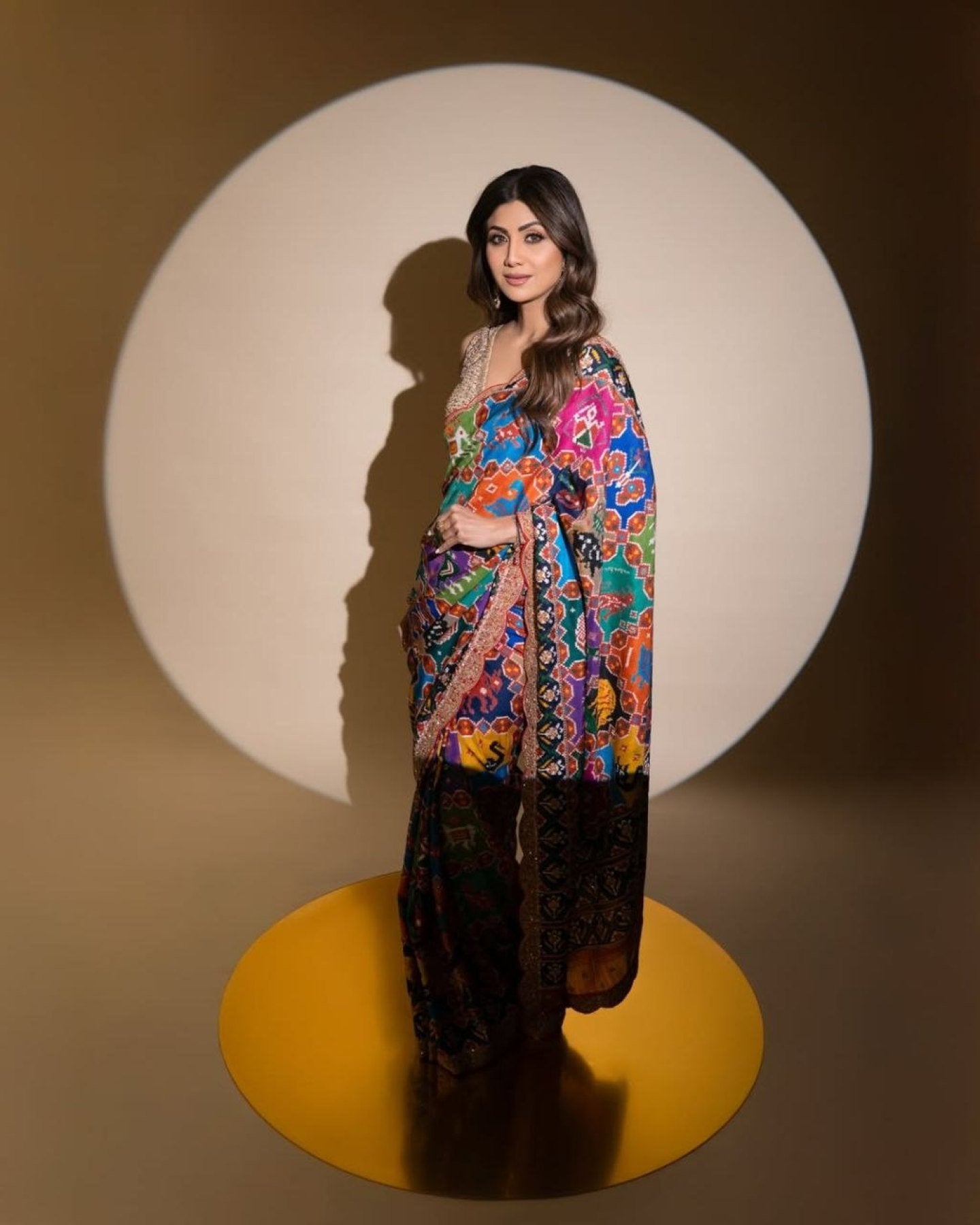 Georgette Saree - Print embroidery work detail