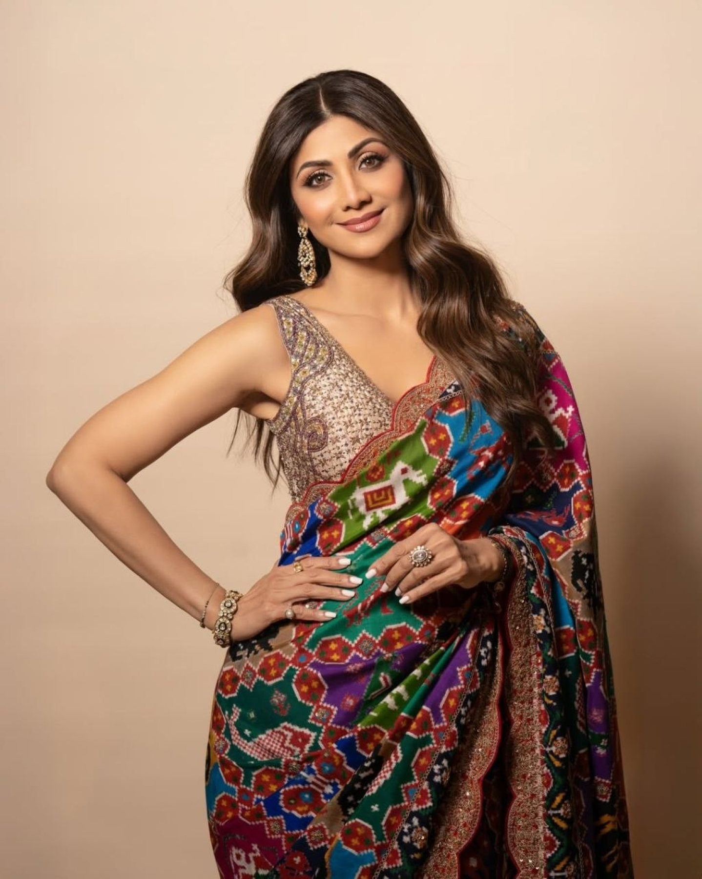Georgette Saree - Print pallu design detail