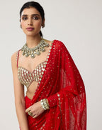 Red Saree - detail view 12