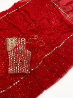 Red Saree - Sequins pallu design detail