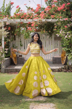 Roman Silk Navratri Lehenga Choli with Mirror Lace Work and 6 Meter Flair front view