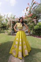 Roman Silk Navratri Lehenga Choli with Mirror Lace Work and 6 Meter Flair colour variant view