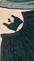 Green Georgette Lehenga with Heavy Sequins Work and Velvet Border Dupatta styling view