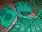 Green Lehenga Collection fabric texture detail