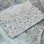 Organza Saree - side drape view