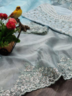 Organza Saree - fabric texture close-up