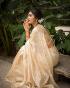 Organza Saree - drape and pallu detail