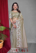 Net Saree - drape and pallu detail