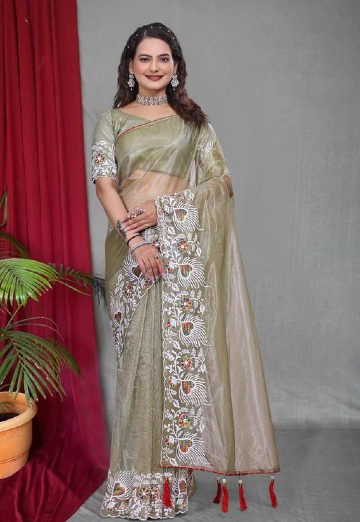 Net Saree - drape and pallu detail