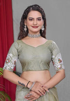 Net Saree - blouse and border close-up