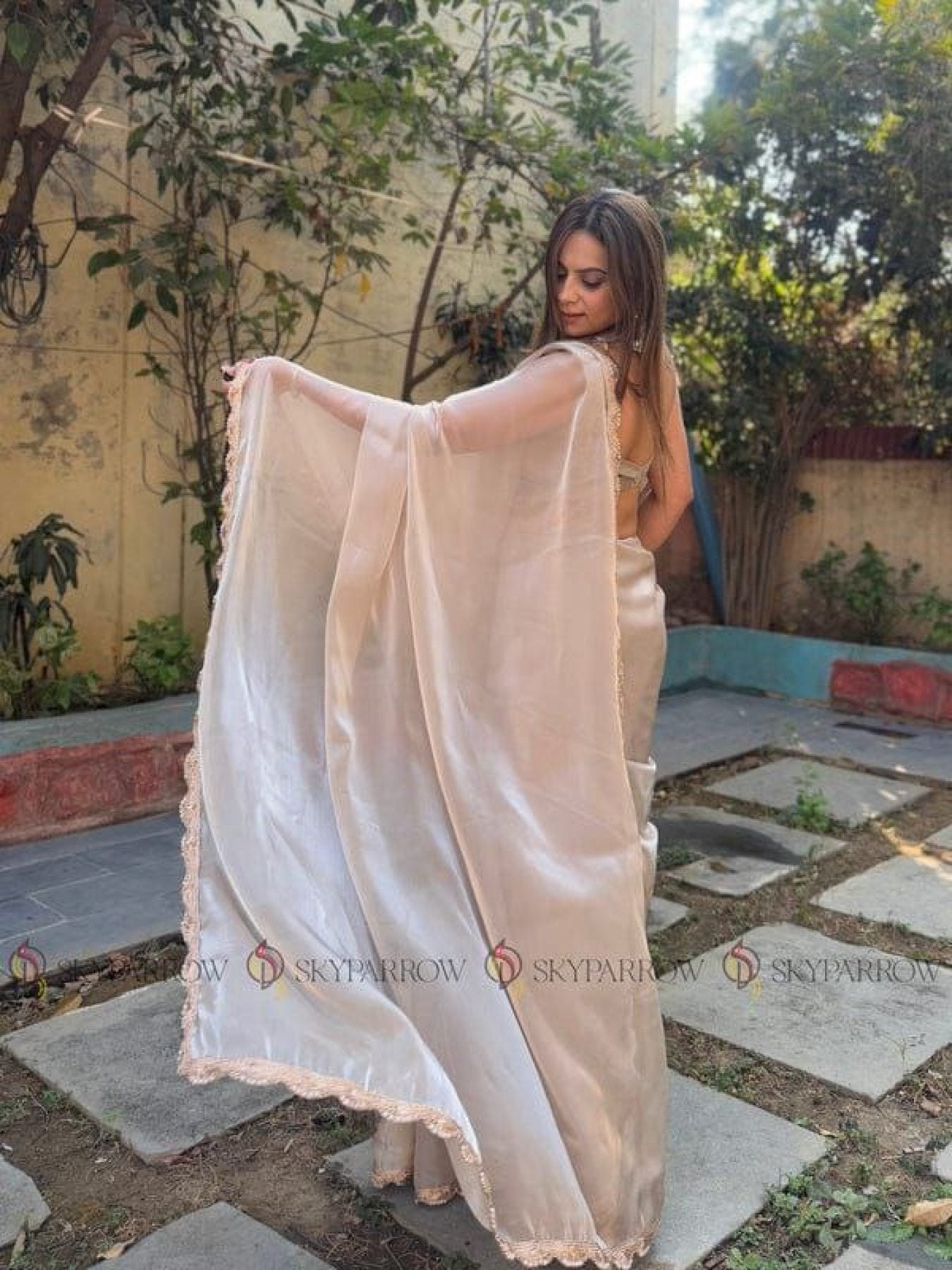 Beige Tissue Saree - back view