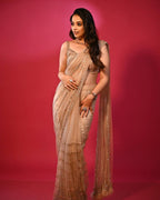 Net Saree - drape and pallu detail