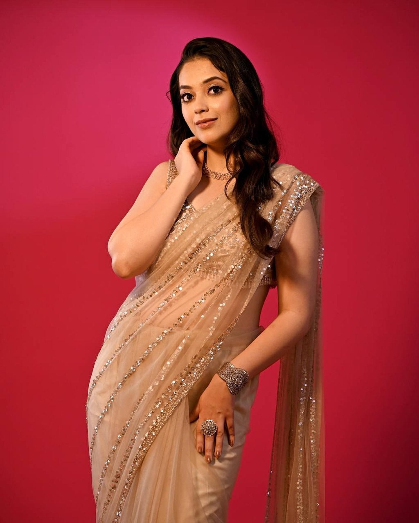 Net Saree - side drape view