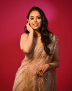 Net Saree - fabric texture close-up
