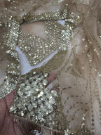 Net Saree - back view