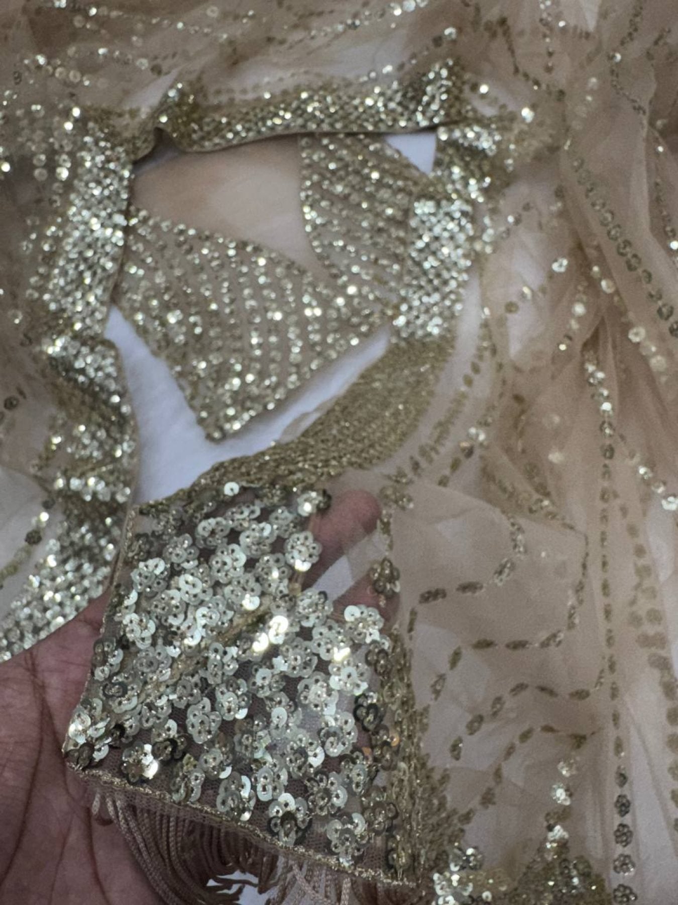 Net Saree - back view