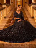 Lehenga Choli Set with Monochrome Sequins for Wedding Wear for women | Snyvia