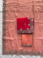 Red Chiffon Saree - Embroidery back view