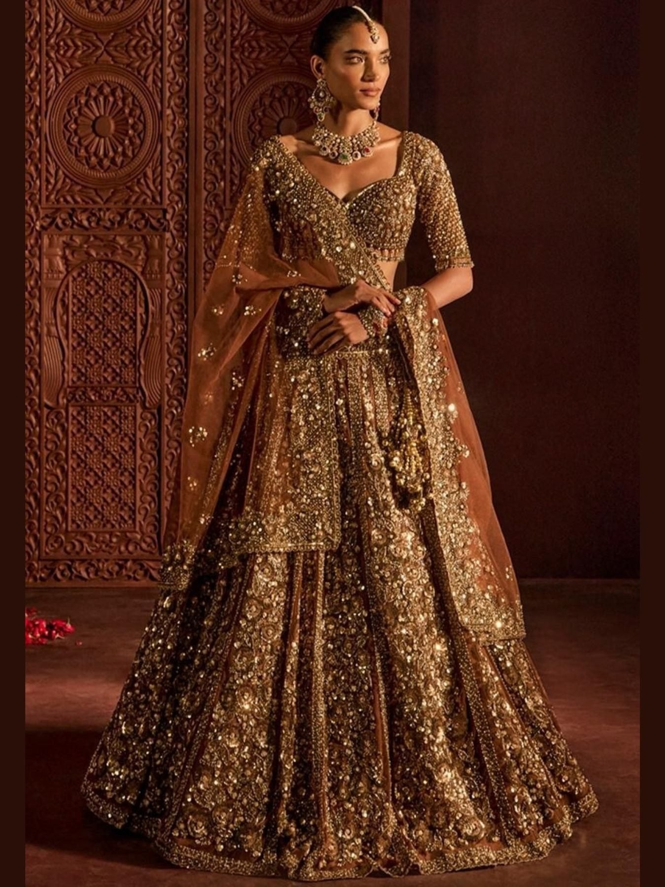 Butterfly Net Lehenga Choli with Heavy Glass Sequins Work for women | Snyvia
