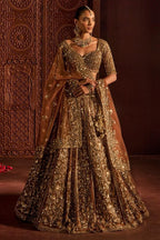 Brown Butterfly Net Lehenga Choli with Heavy Glass Sequins Work full drape view