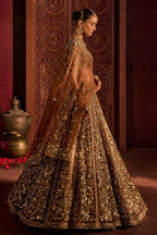Brown Butterfly Net Lehenga Choli with Heavy Glass Sequins Work fabric texture detail