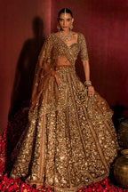 Brown Butterfly Net Lehenga Choli with Heavy Glass Sequins Work styling view