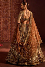 Brown Butterfly Net Lehenga Choli with Heavy Glass Sequins Work colour variant view