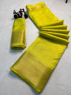 Dola Saree - drape and pallu detail