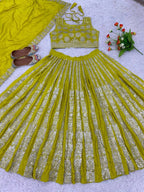 Chinnon Lehenga with Embroidery Wedding Ready Elegance full drape view