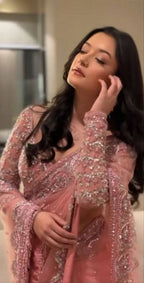 Pink Net Saree - blouse and border close-up