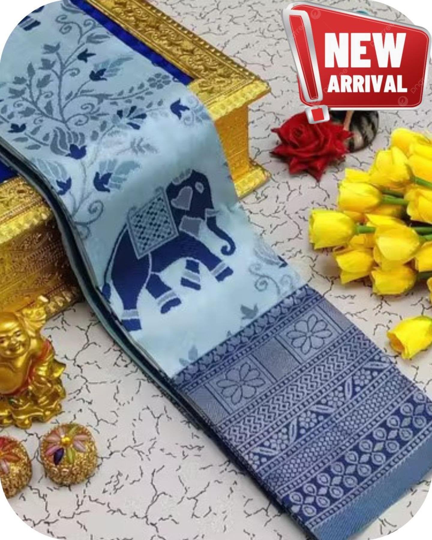 Silk Saree - blouse and border close-up