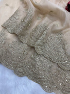 Gold Organza Saree - full-length drape