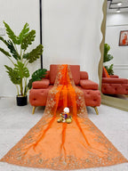 Orange Organza Saree - full-length drape
