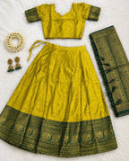 Heavy Lichi Silk Lehenga Choli with Woven Zari Border for Wedding Wear back view