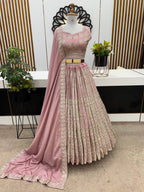 Chinnon Lehenga with Embroidery Wedding Ready Elegance back view