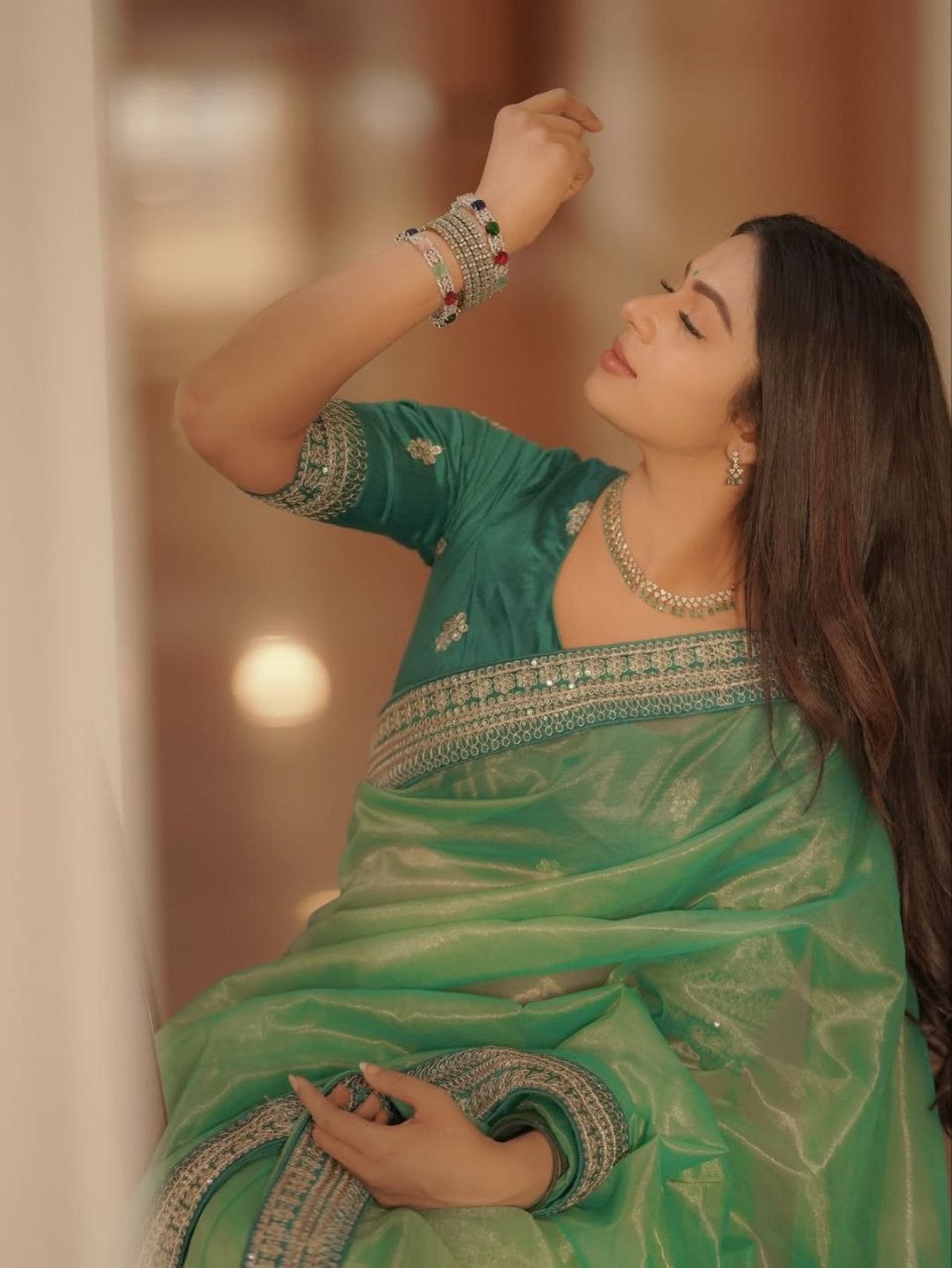 Silk Saree - blouse and border close-up
