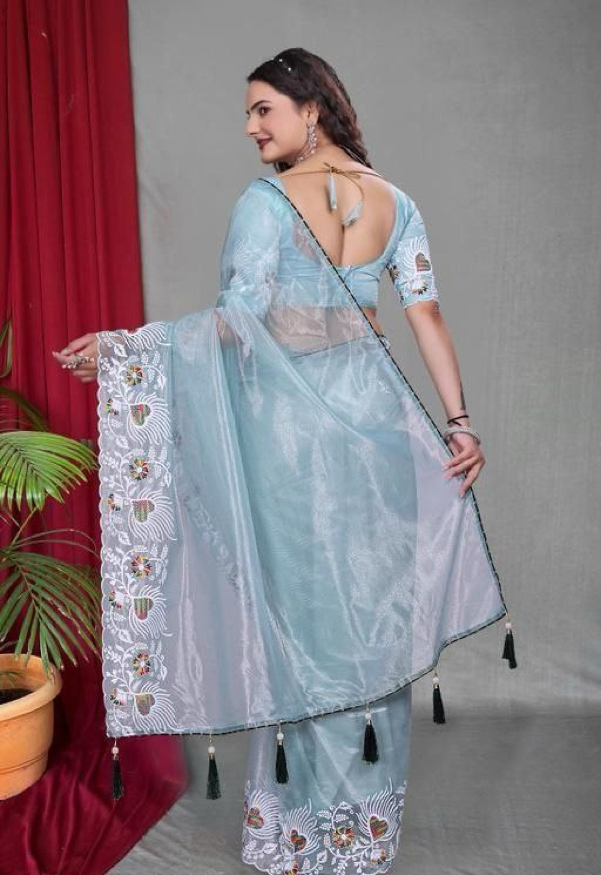 Net Saree - blouse and border close-up