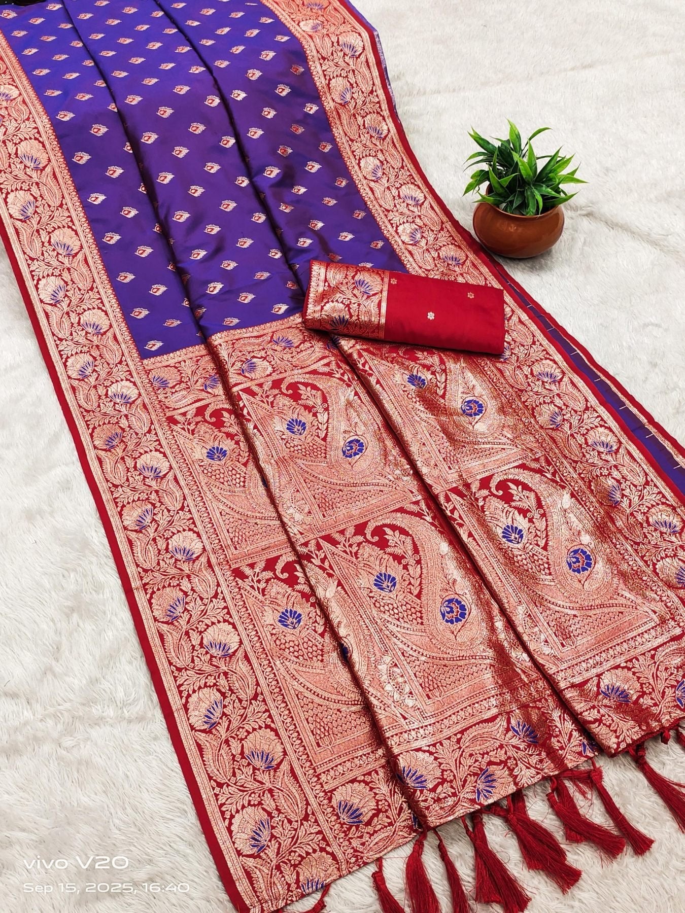 Banarasi Saree - back view