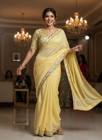 Chiffon Saree - drape and pallu detail